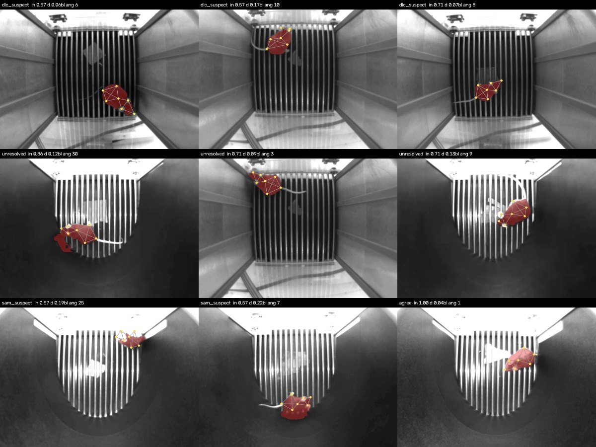 Examples of each verdict. The “DLC suspect” frames (top row) are really the mask missing the head: the automatic blame split was too crude and is not trusted.