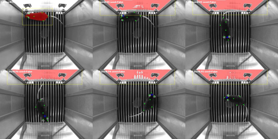 Stage 3. SAM prompted by its own last mask (red) starts on the mouse, then moves to the bright arena wall at predicted IoU 0.94–0.96 and stays there. Keypoints in green.