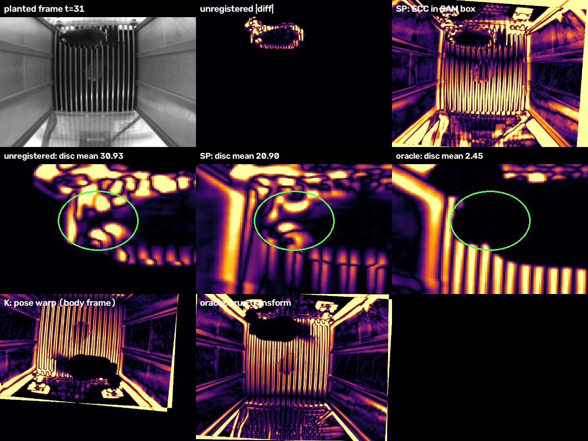 Gate 4, one planted pair. Middle row: the 0.2 body-length head disc, zoomed, with its mean |difference|. Stage 4 removes about a third of the motion; the true transform removes almost all of it. The full-frame panels saturate and can hide this.
